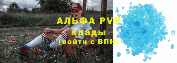 каннабис Богданович